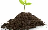 soil nutri